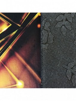Dywan BLACK and GOLD N 14
